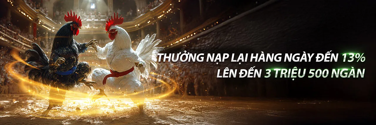 Đá Gà Trực Tuyến EU99 Hấp Dẫn
